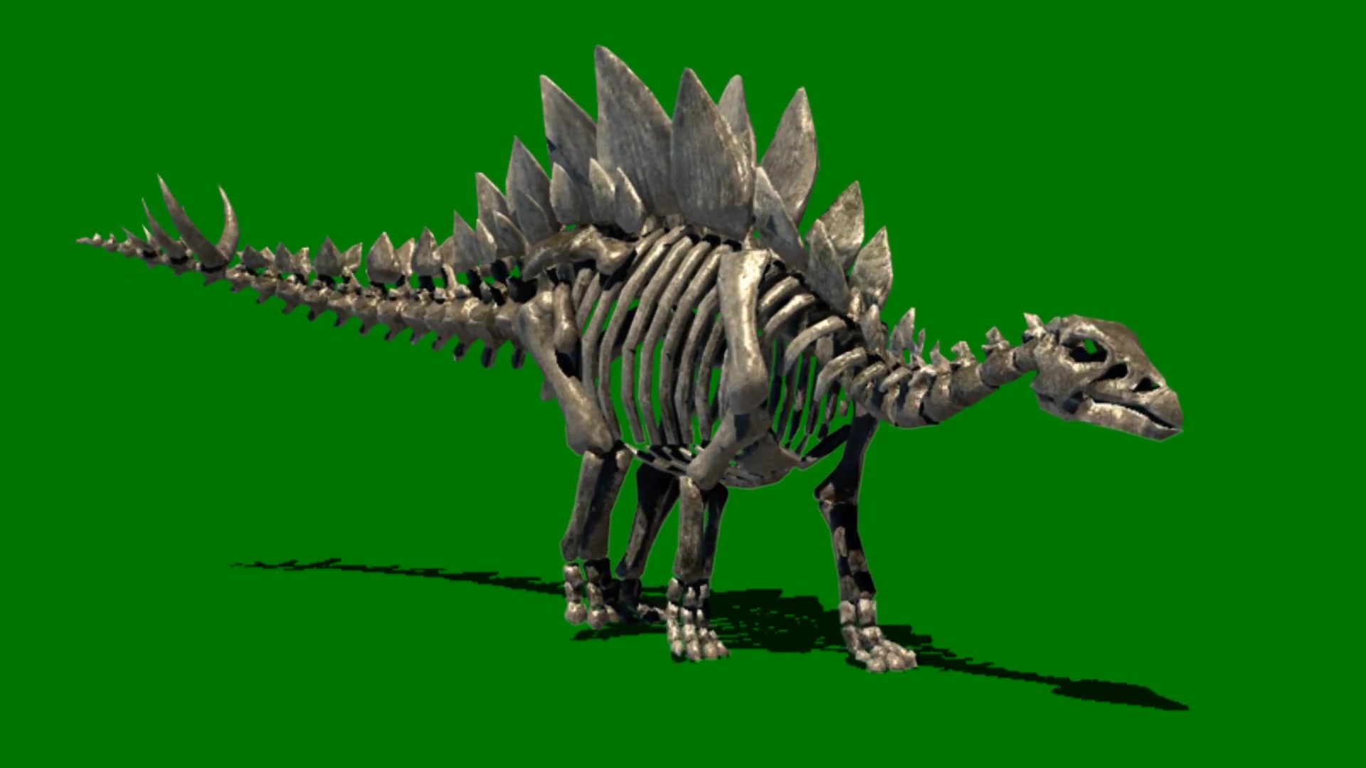 绿幕蓝幕特效抠图3d剑龙