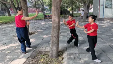 游身八卦连环掌-哔哩哔哩_Bilibili