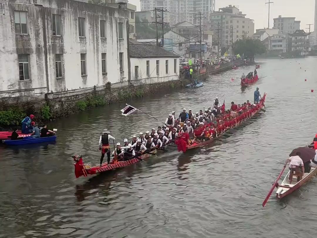 乐清柳市麻园村传统龙舟聚会斗龙合辑!现场精彩绝伦!龙舟争渡过端午