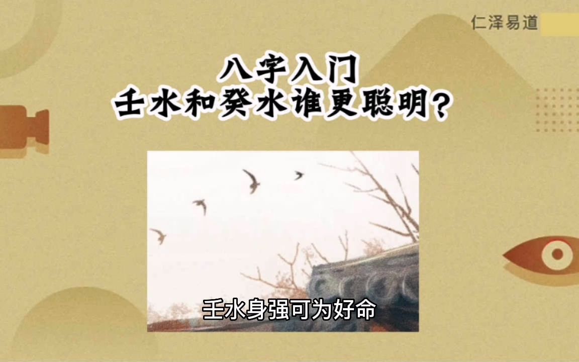 八字入门:壬水和癸水谁更聪明?哔哩哔哩bilibili