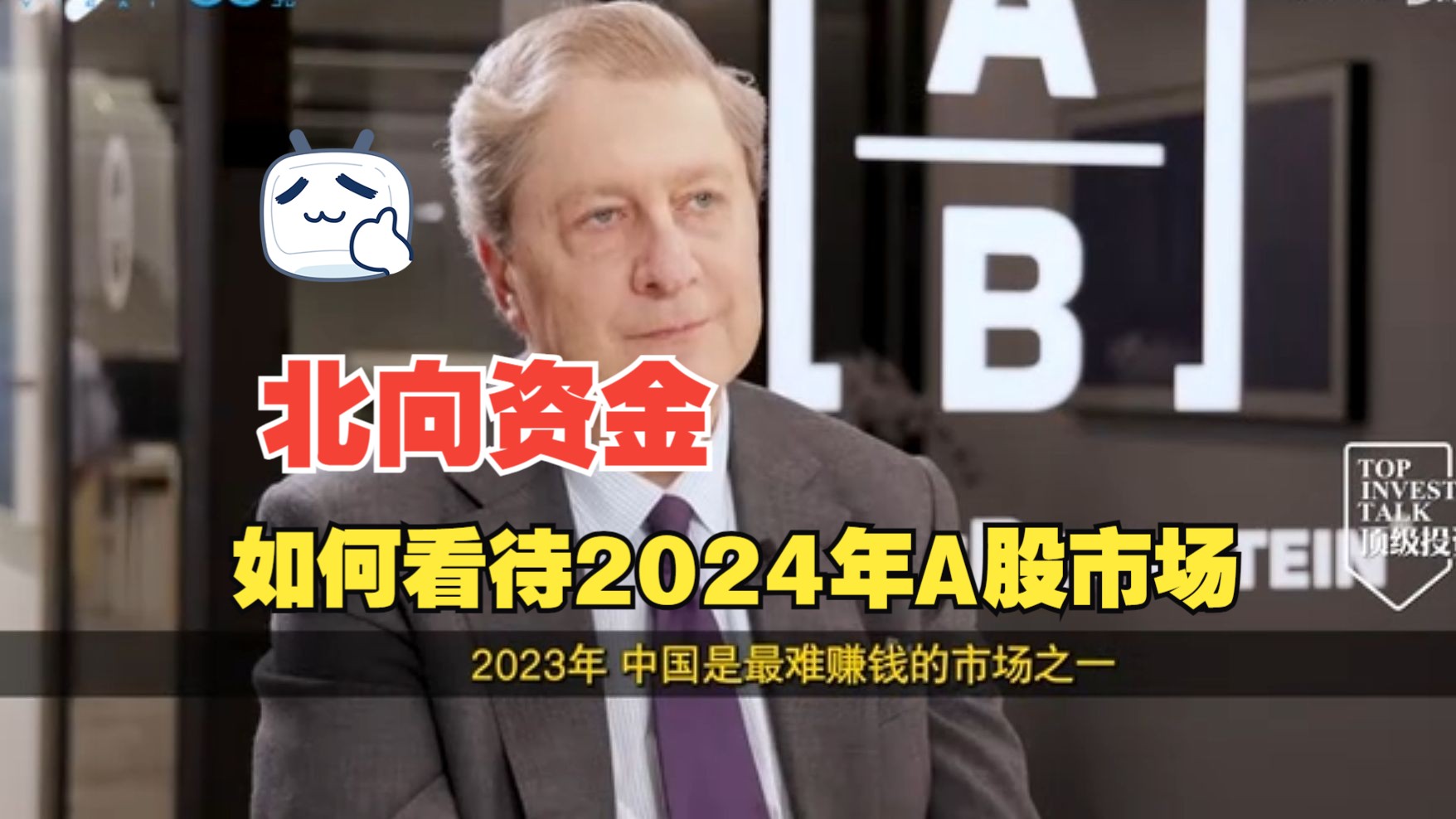 【顶级海外投资人】2024年,北向资金(外资)是如何看A股市场的?哔哩哔哩bilibili