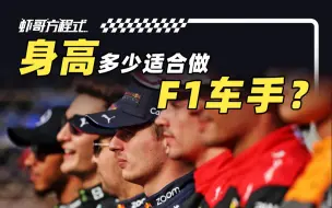 Video herunterladen: 身高多少适合做F1车手 虾哥方程式