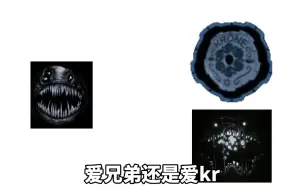 Descargar video: 爱兄弟还是爱kr🥶