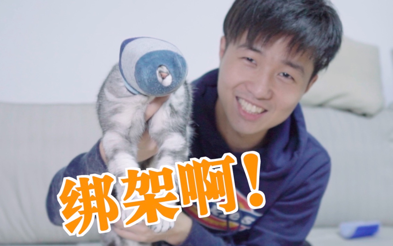 臭袜子套头绑架猫咪只为做几顶漂亮的帽子