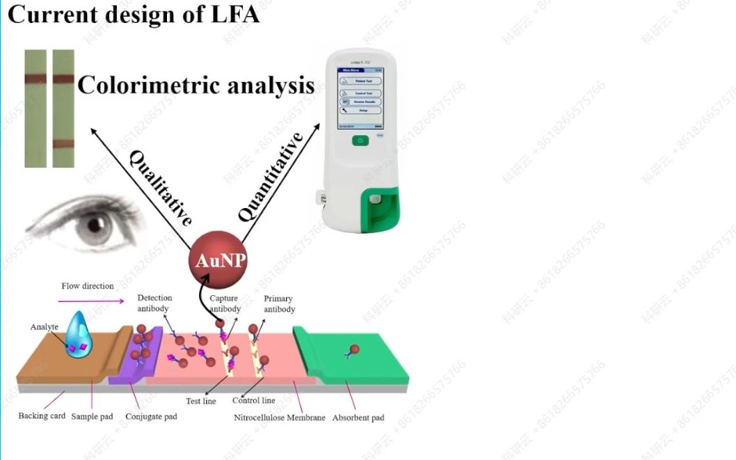 20231013澳大利亚昆士兰大学雷畅以小窥大新型纳米技术在生物分子检测中的应用哔哩哔哩bilibili