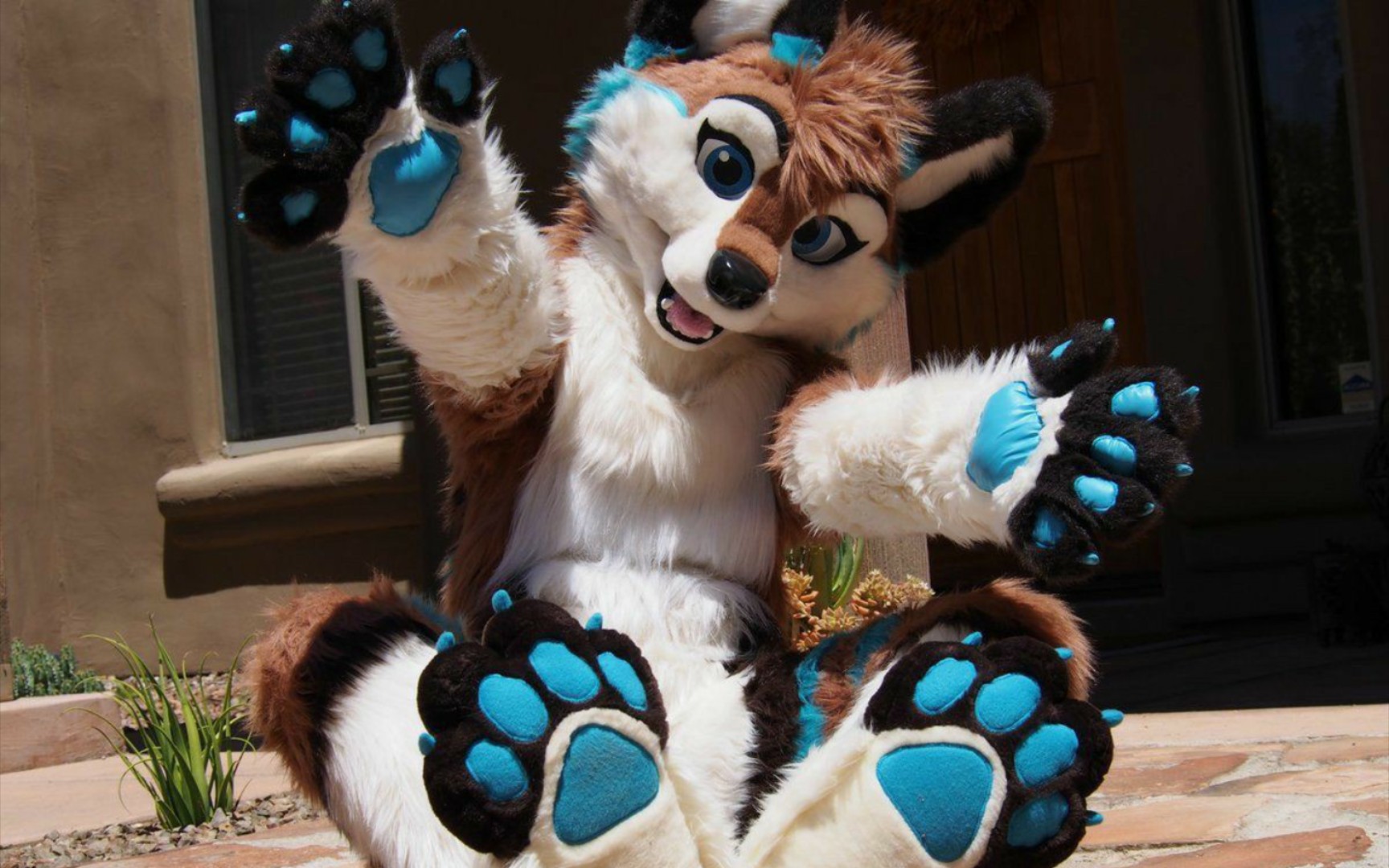 【兽装/fursuit】妩媚动人~性感可爱的狐系兽装大赏xd