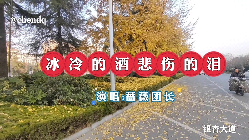 [图]《冰冷的酒悲伤的泪》演唱:蔷薇团长