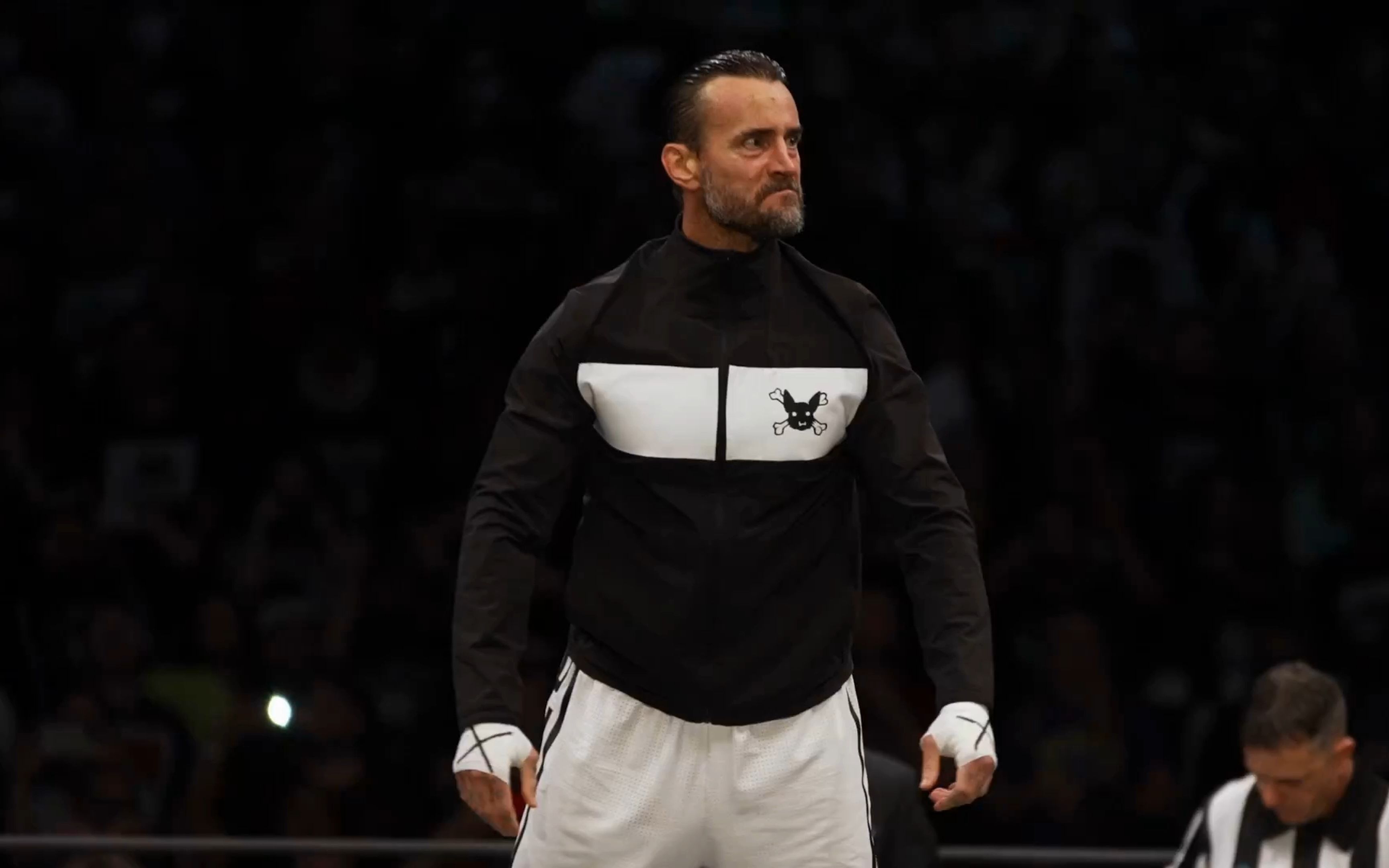 cm punk回归 (4k60帧测试)