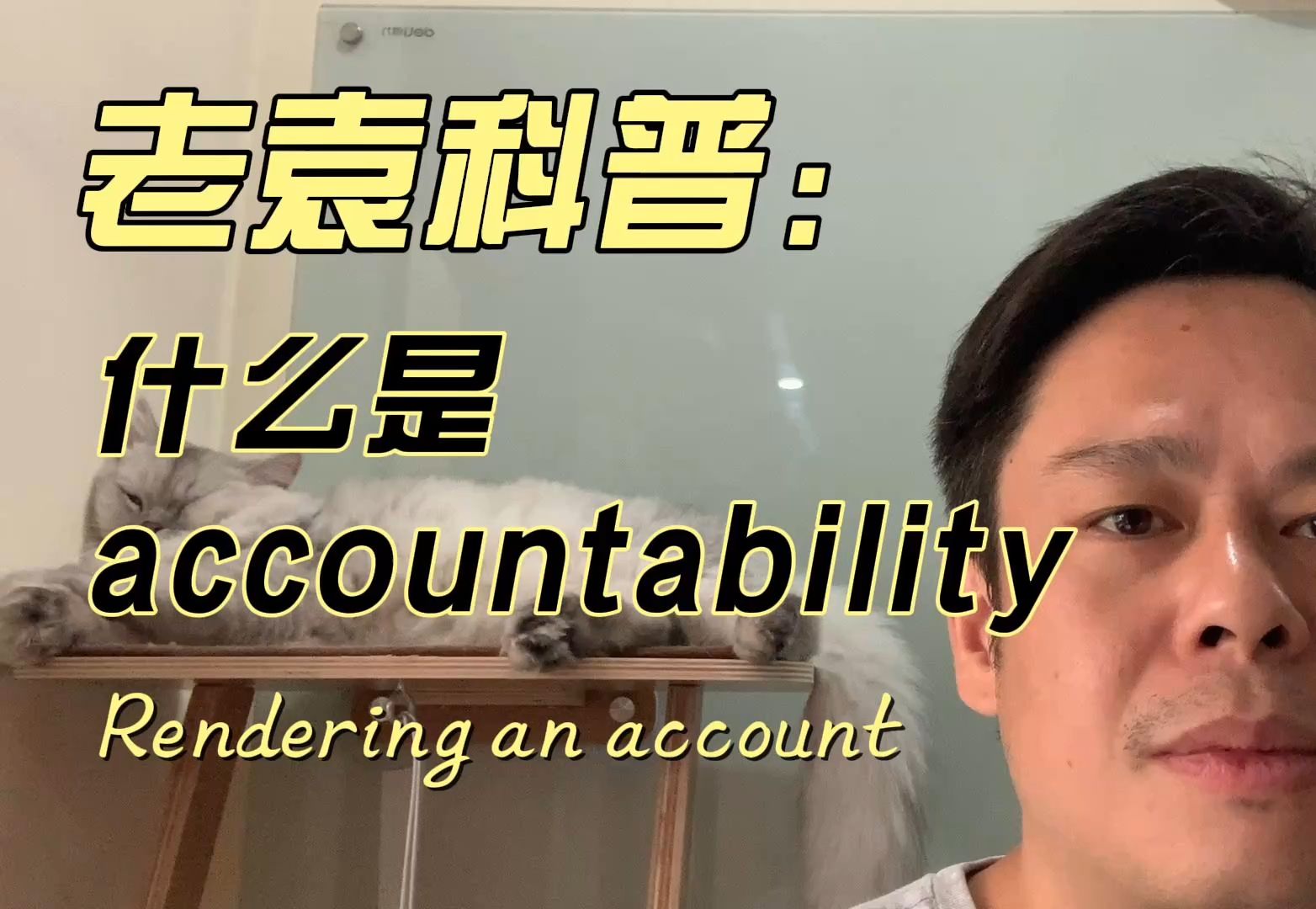 什么是 accountability?从中世纪英国郡长说起【老袁讲敏捷】哔哩哔哩bilibili