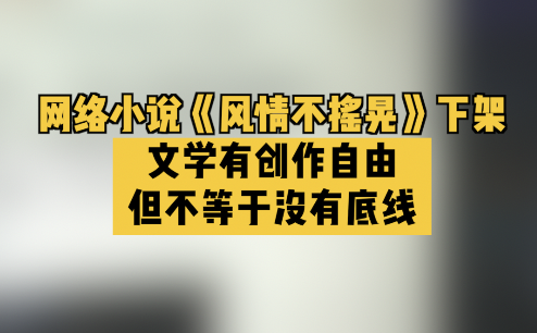 网络小说《风情不摇晃》下架:文学有创作自由,但不等于没有底线哔哩哔哩bilibili