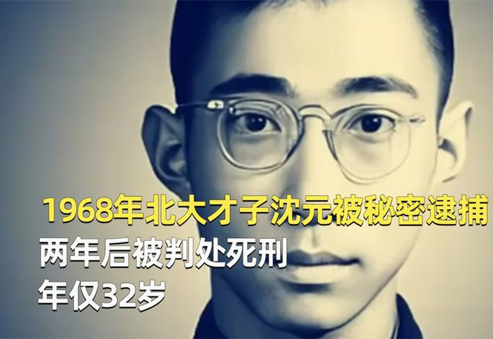 1968年,北大才子沈元被秘密逮捕,两年后被判处死刑,年仅32岁哔哩哔哩bilibili