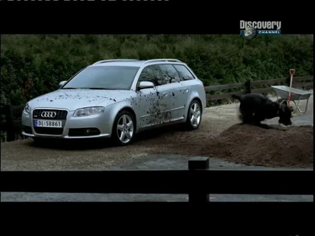 奥迪广告 | quattro与狗三部曲