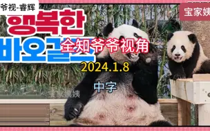 Tải video: 「中字」2024.1.8〈全知爷爷视角〉完整版，睿宝辉宝胖胖姐妹亮相！爱宝和睿宝辉宝的魅力爆棚！