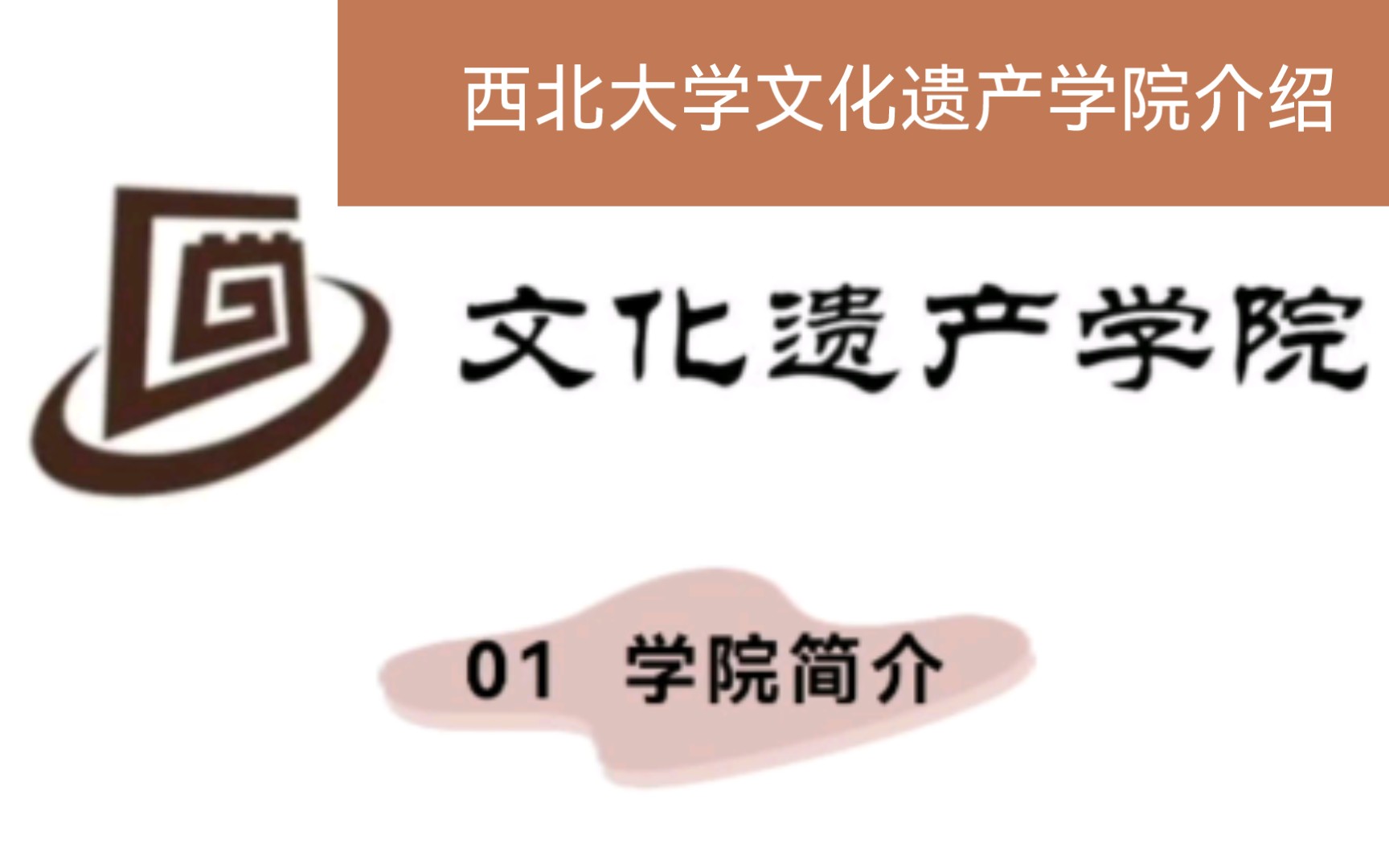 考古学专业择校指南(二)→西北大学文化遗产学院哔哩哔哩bilibili