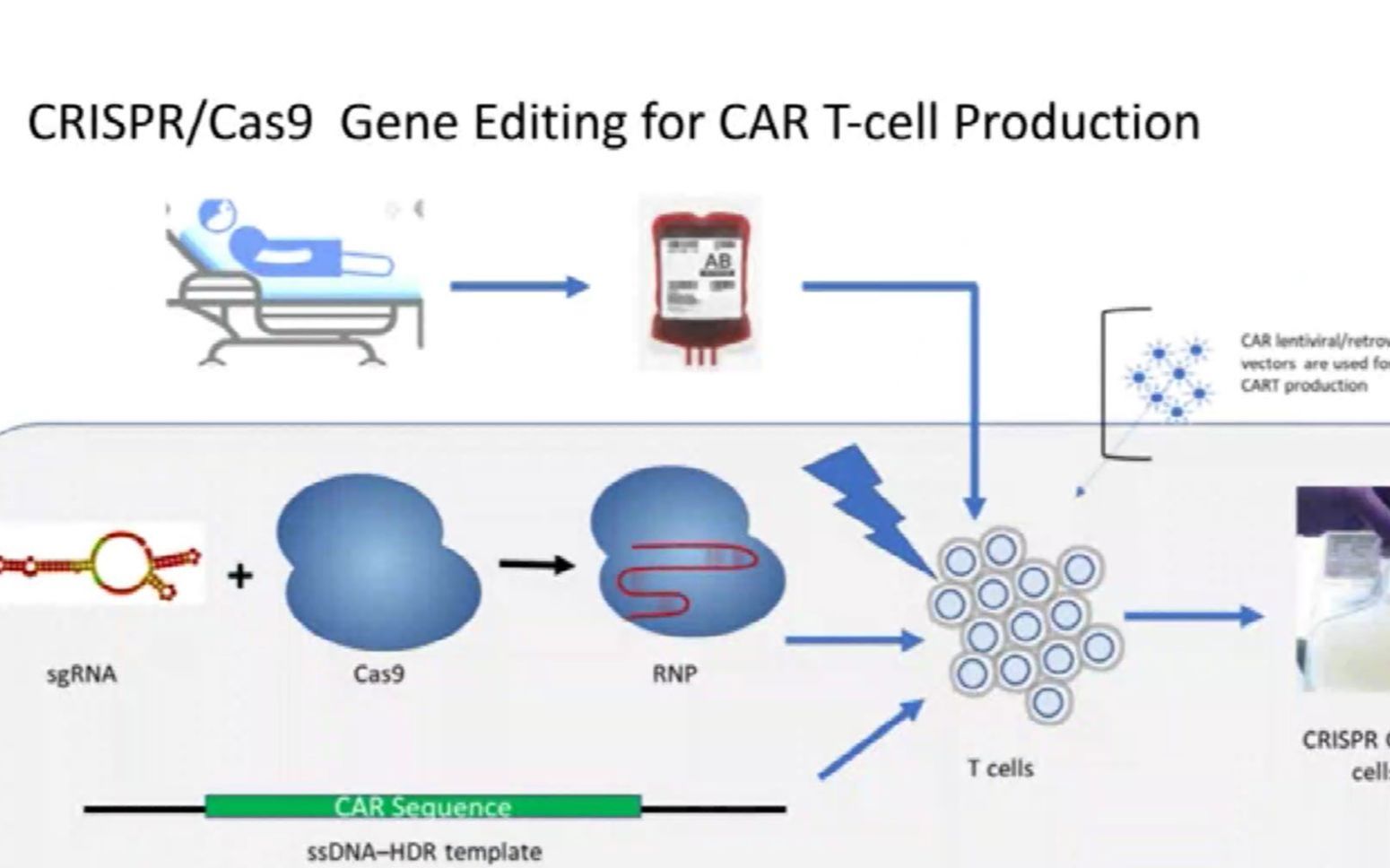 GCE峰会讲座 | CRISPR/Cas9在CART细胞产品临床制备中的应用哔哩哔哩bilibili