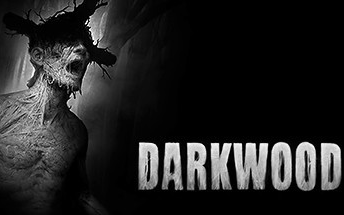 [图]【Darkwood】阴暗深林 游戏实况 阴间森林不过如此 哼哼哼