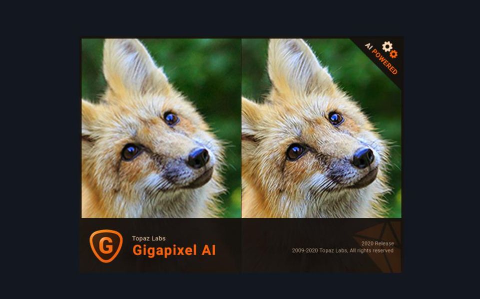 AI照片智能清晰锐化软件Topaz Gigapixel AI 5.3.0 x64哔哩哔哩bilibili