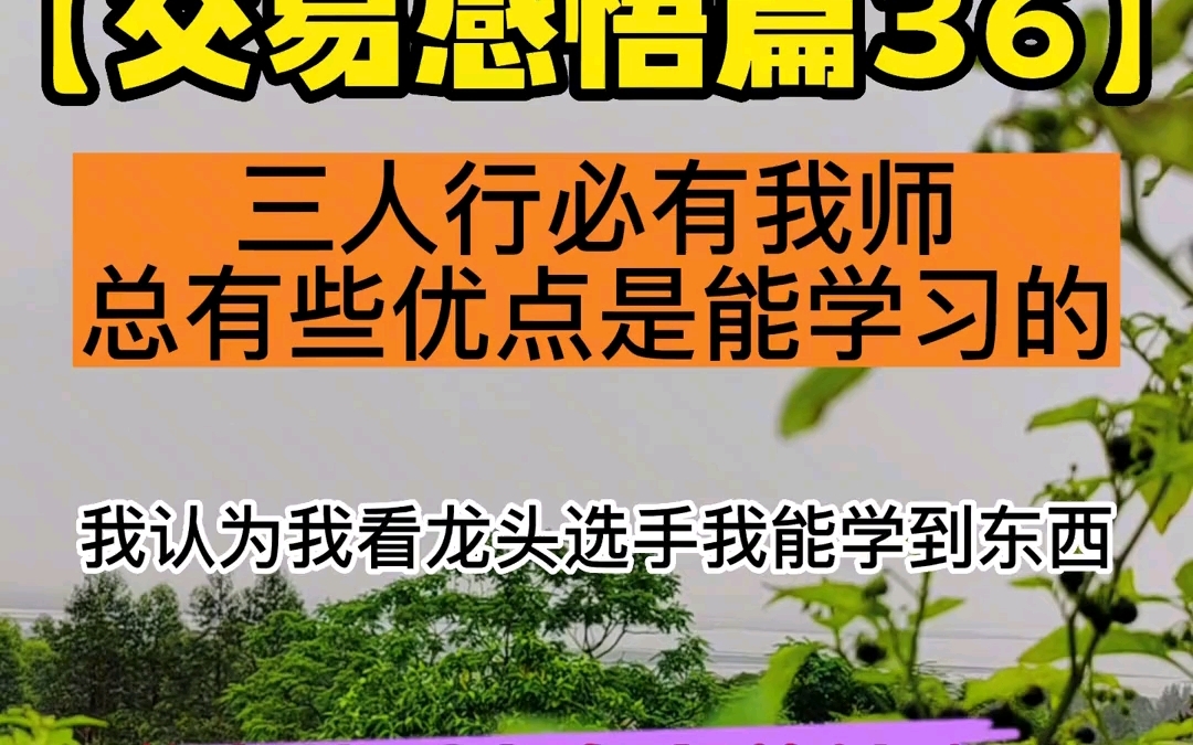 北京炒家,学会从别人身上总结方法,而不是鸡蛋里挑刺哔哩哔哩bilibili