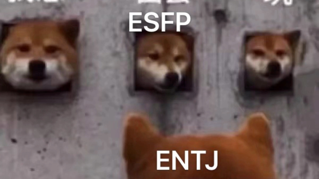 MBTI 刻板印象2 (isfp infj esfp entj infp)哔哩哔哩bilibili