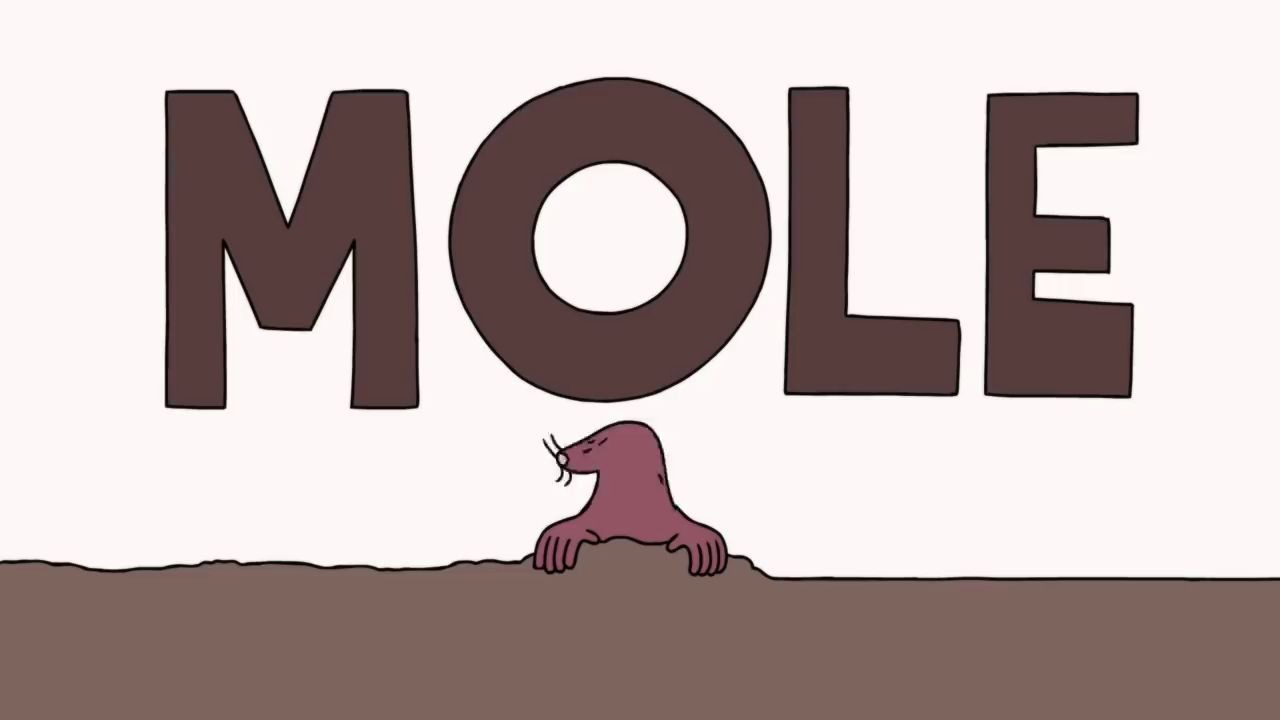 【TED Ed】How big is a mole?一摩尔的物体究竟有多大呢?哔哩哔哩bilibili