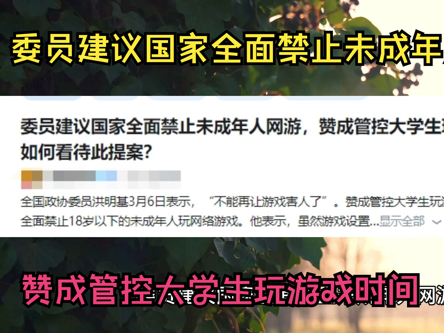 [图]热榜，委员建议国家全面禁止未成年人网游，赞成管控大学生玩游戏时间