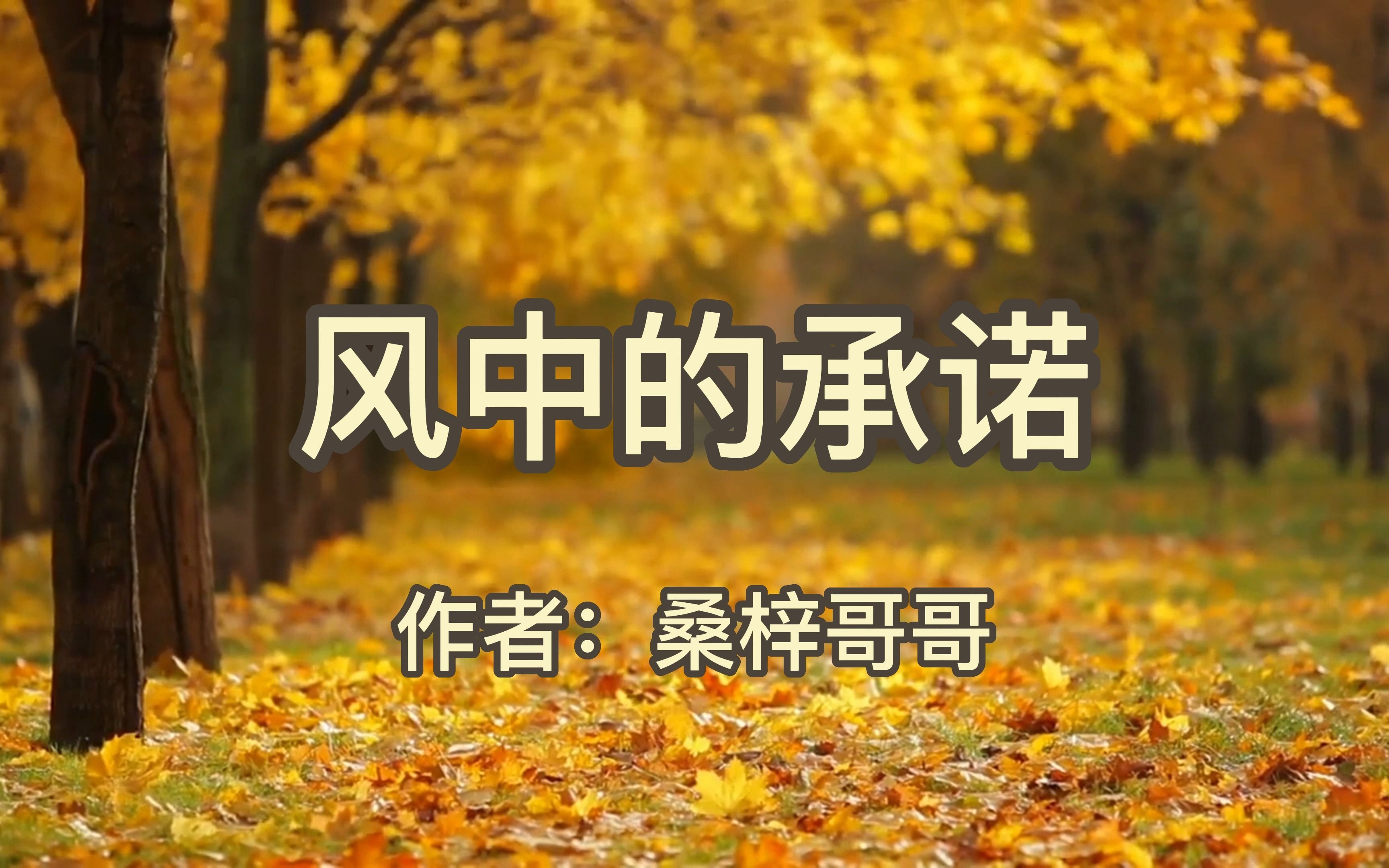 【原创诗歌】《风中的承诺》作者:桑梓哥哥 朗诵:静璇