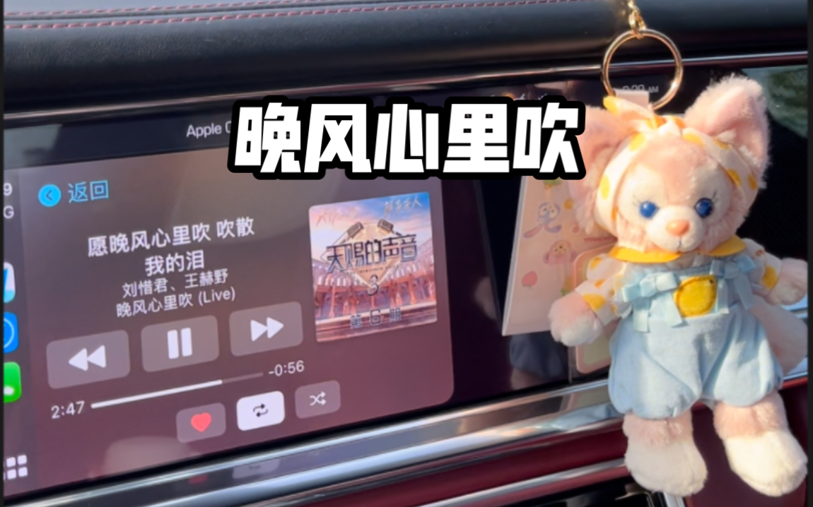 我开车你听歌 | 「晚风心里吹」刘惜君 王赫野 愿晚风将我吹 吹进你心内 晚灯映花正开-rapunzel鹿-rapunzel鹿-哔哩哔哩视频