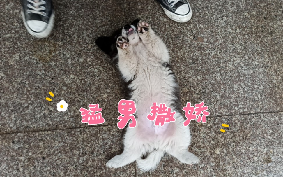 猛男撒娇会不会