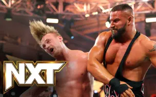 Video herunterladen: 【NXT744】燃向对决  伊利亚德拉古诺夫击败布朗布雷克  成为NXT冠军第一挑战者