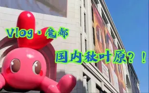 Download Video: 魔都上海pk秋叶原