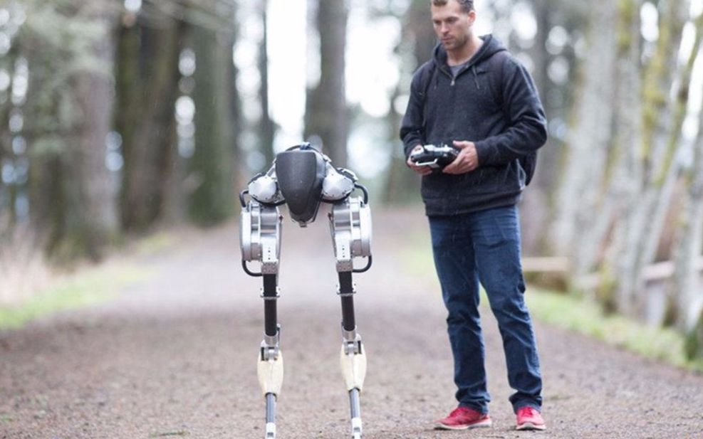 残疾人助力行走机械腿图片