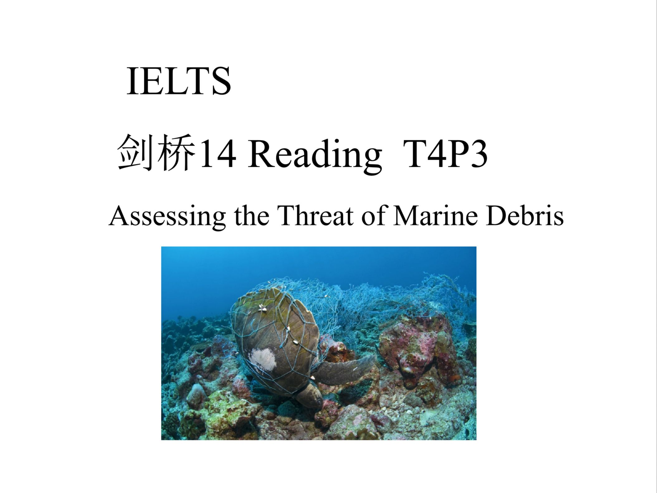  ielts c14 t4p3 assessing the threat of marine debris shaickymao