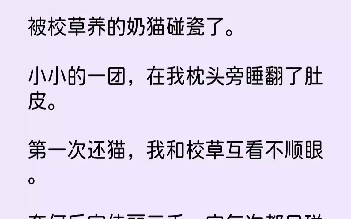 [图]被校草养的奶猫碰瓷了.小小的一团，在我枕头旁睡翻了肚皮。第一次还猫，我和校草互看不顺眼。奈何后宫佳丽三千，它每次都只碰...