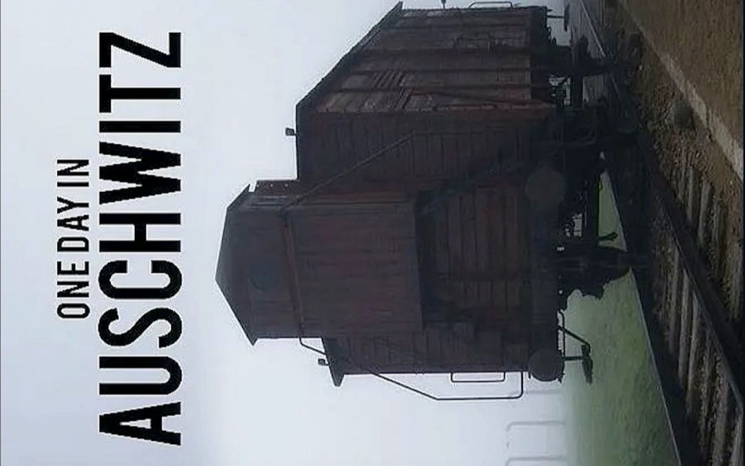 [图]【探索频道】再见，奥斯维辛 双语字幕 One Day In Auschwitz (2015)