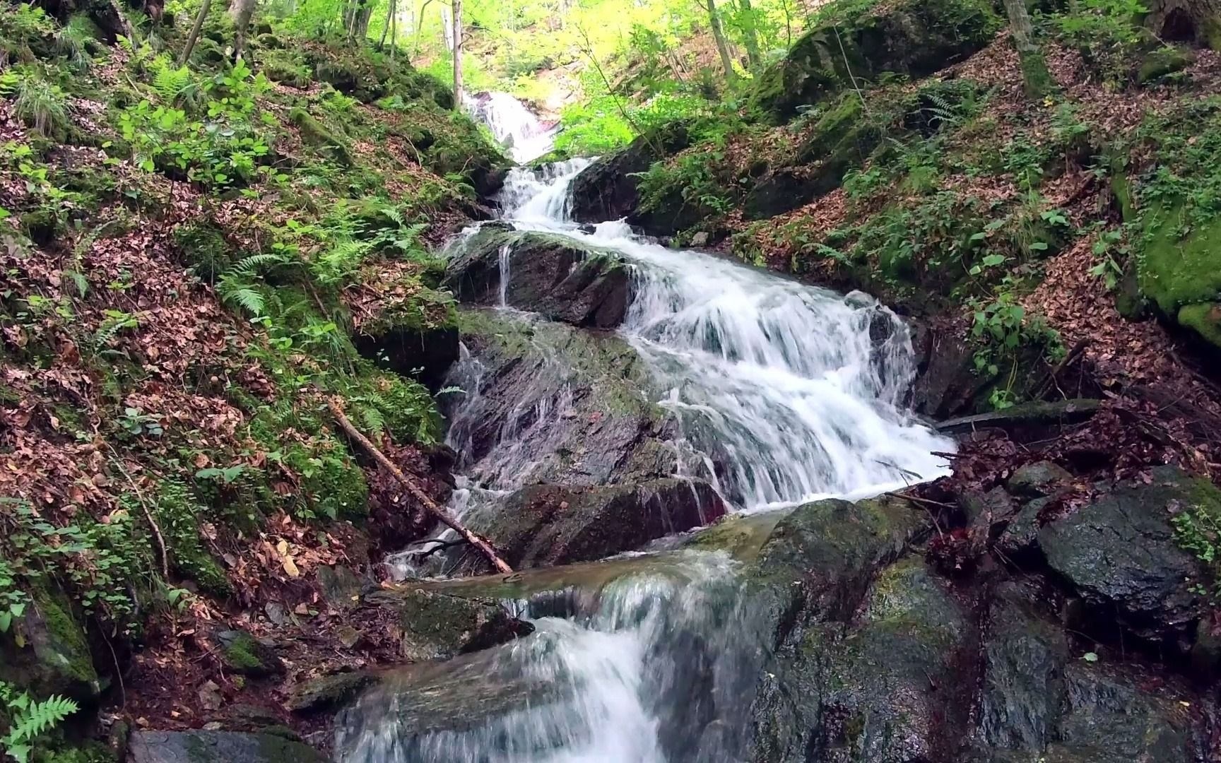 森林山间小溪的潺潺水声