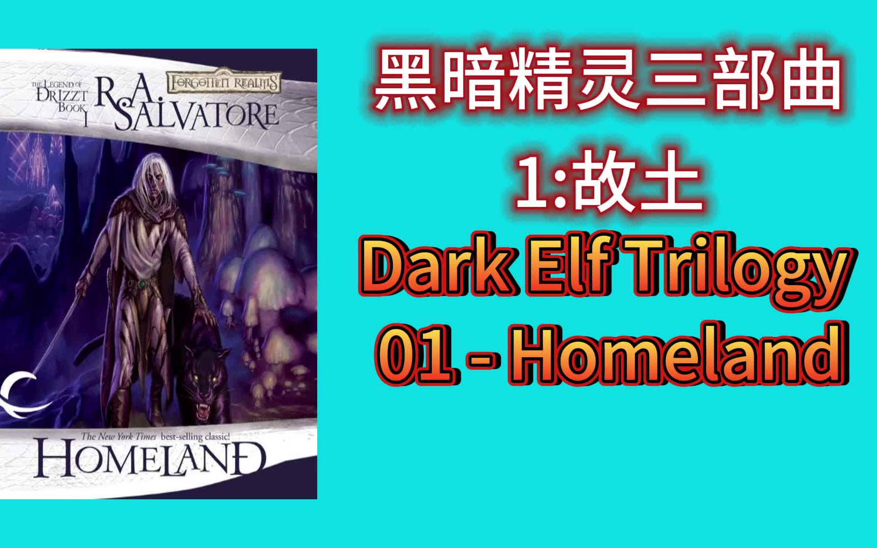 黑暗精灵三部曲 第一部 故土 Dark Elf Trilogy 01  Homeland哔哩哔哩bilibili