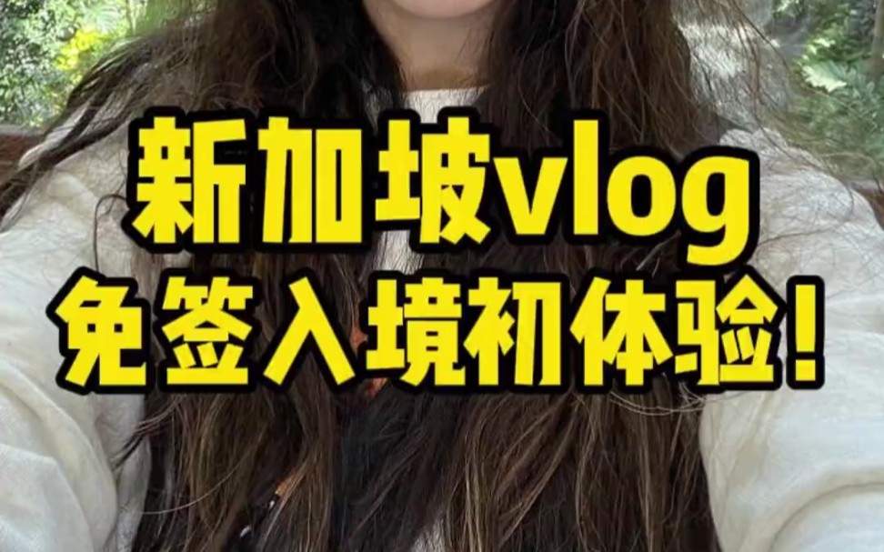 新加坡vlog新们坡免签入境初体验哔哩哔哩bilibili