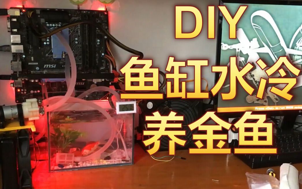 [图]宿舍里DIY鱼缸水冷主机，水冷养鱼你见过吗？