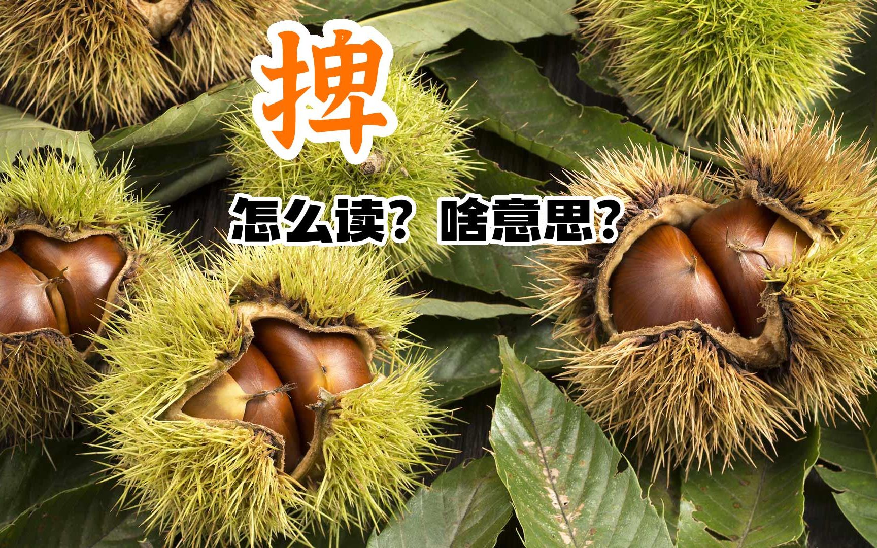 "捭"怎么读?啥意思?_哔哩哔哩_bilibili