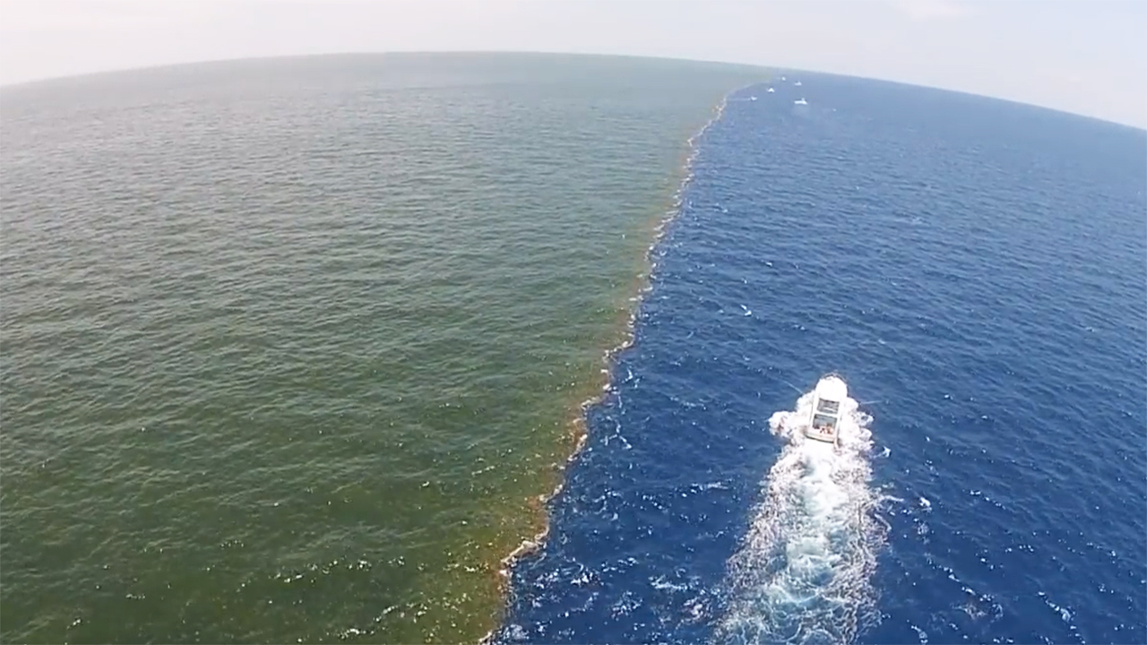 世界奇观美国河海交汇水水不相容真正的泾渭分明