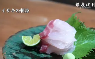 三线矶鲈 哔哩哔哩 Bilibili