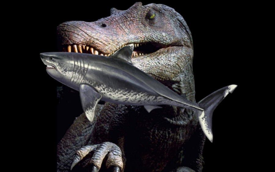 听说战神棘龙黑很多?