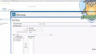 0基础入门_Salesforce_admin管理员课程_中文学习_公用小组&队列