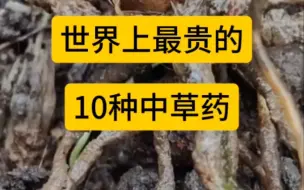 Tải video: 世界上最贵的十种中药材！