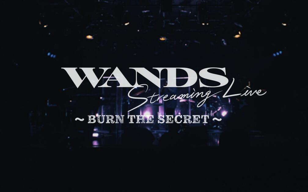 蓝光版】WANDS Streaming Live ～BURN THE SECRET～_哔哩哔哩_bilibili