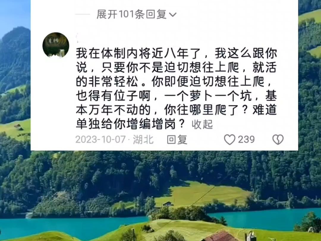 体制内没背景混得下去吗?哔哩哔哩bilibili