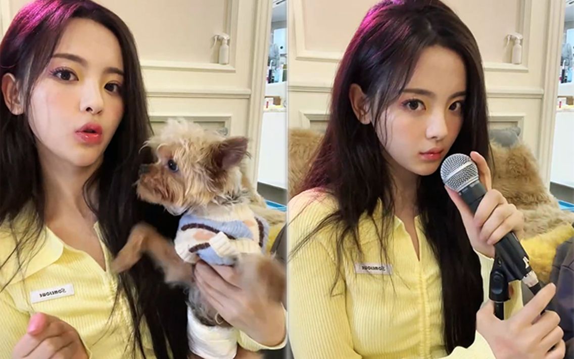 看杨超越直播不仅快乐好笑你还会收获一堆不曾设想的人生道理