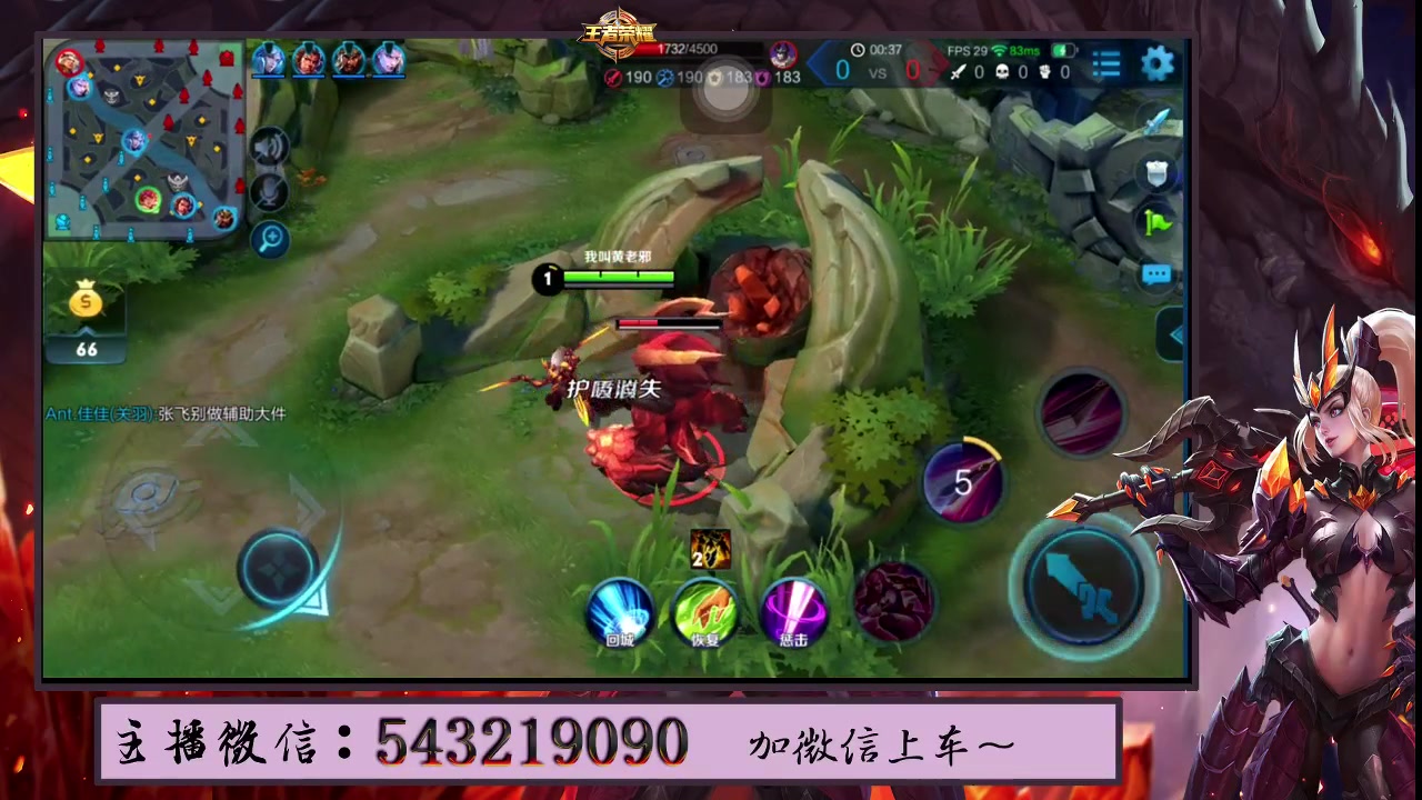 王者荣耀花木兰打野蹲的后羿怀疑人生