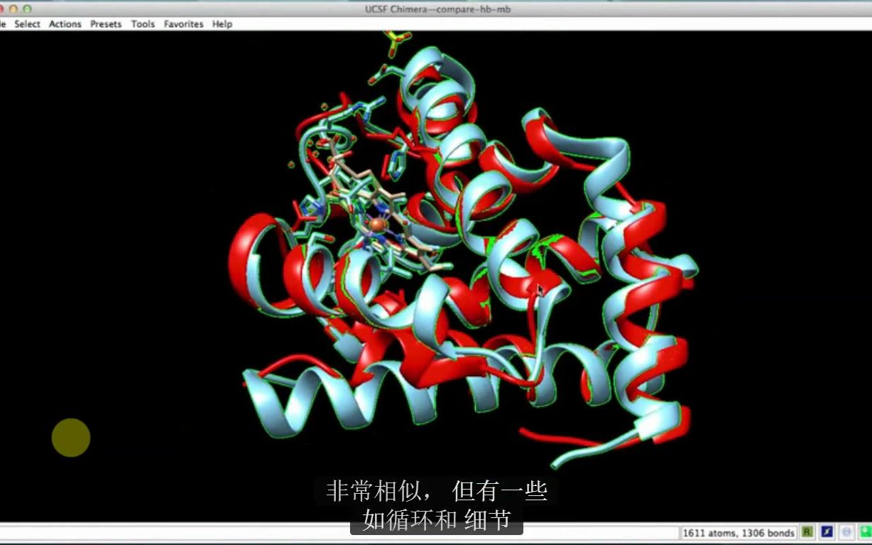 蛋白质结构查看器UCSF Chimera Structure Comparisons哔哩哔哩bilibili