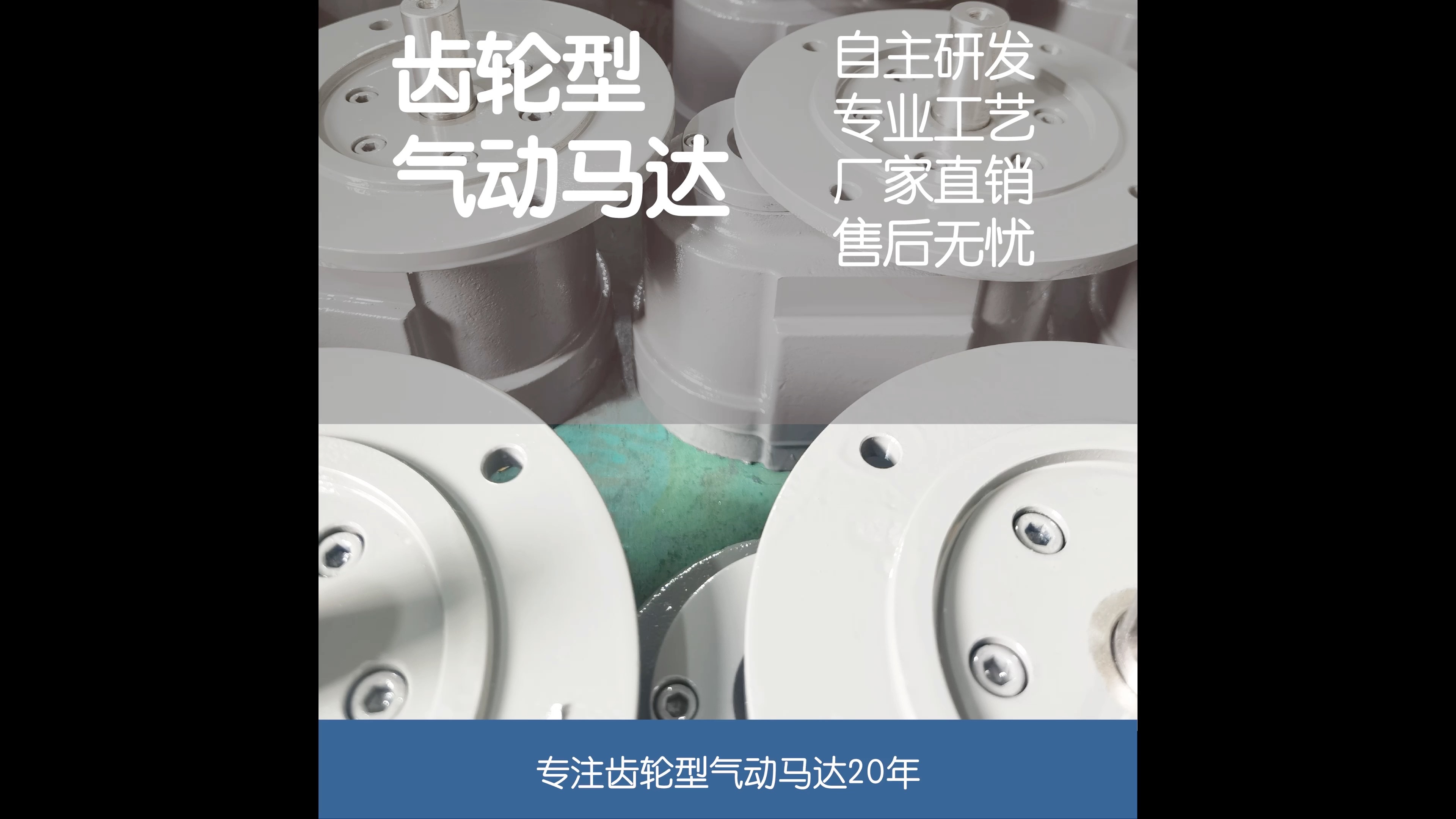 齿轮型气动马达